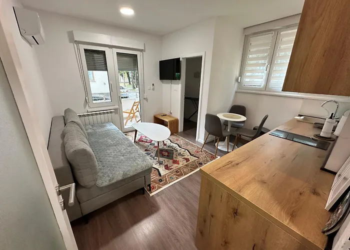 Air Urban Ilidza Free Parking And Near Airport 公寓 塞拉耶佛