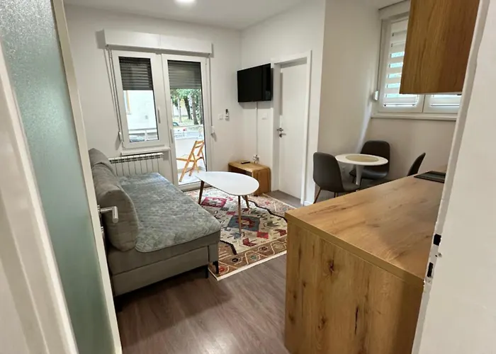 公寓 Air Urban Ilidza Free Parking And Near Airport 塞拉耶佛