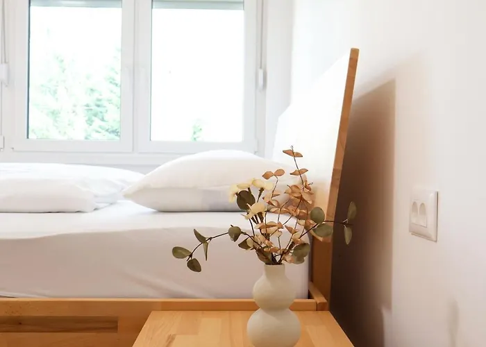 公寓 Air Urban Ilidza Free Parking And Near Airport 塞拉耶佛